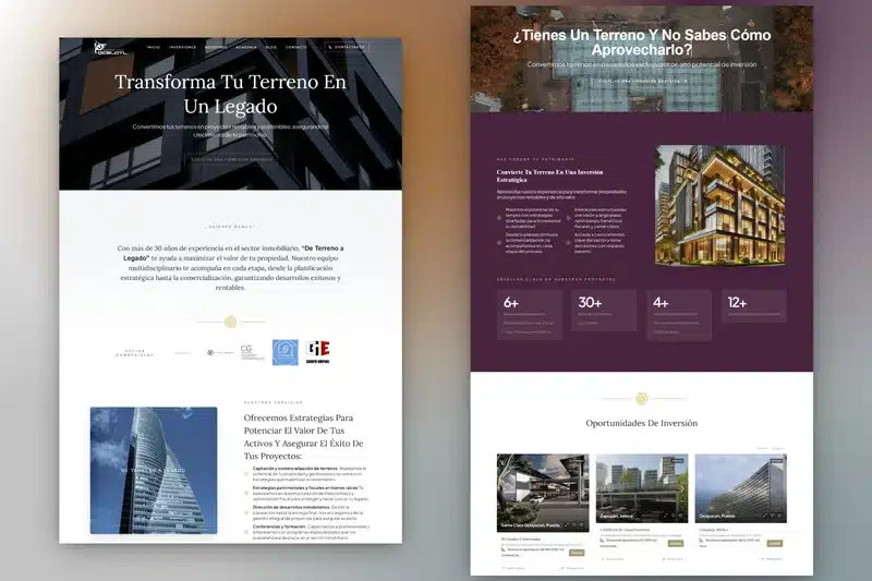 DESARROLLADORA OCELOT